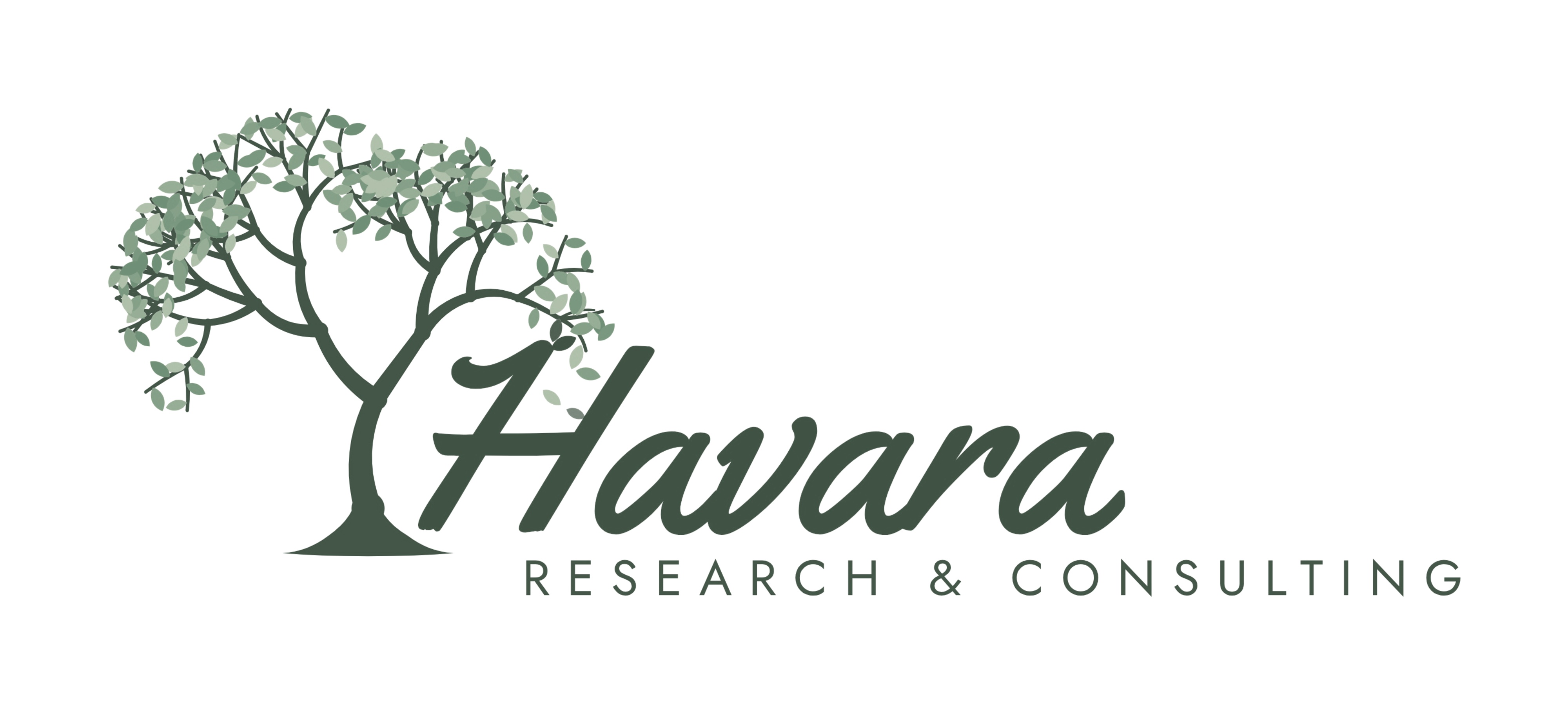 Havara Research & Consulting